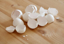 Naminė kalcio bomba augalams: kiaušinių lukštai + actas duoda greitą efektą Kiaušinių lukštų trąša.