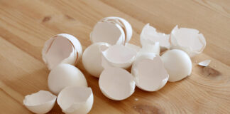 Naminė kalcio bomba augalams: kiaušinių lukštai + actas duoda greitą efektą Kiaušinių lukštų trąša.