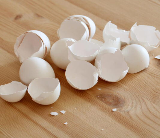 Naminė kalcio bomba augalams: kiaušinių lukštai + actas duoda greitą efektą Kiaušinių lukštų trąša.