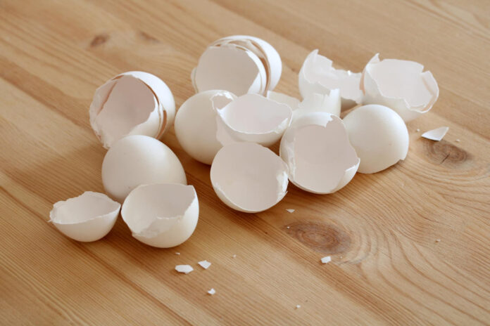 kiausiniu-lukstu-trasa-kiausiniu-lukstai Kiaušinių lukštų trąša.