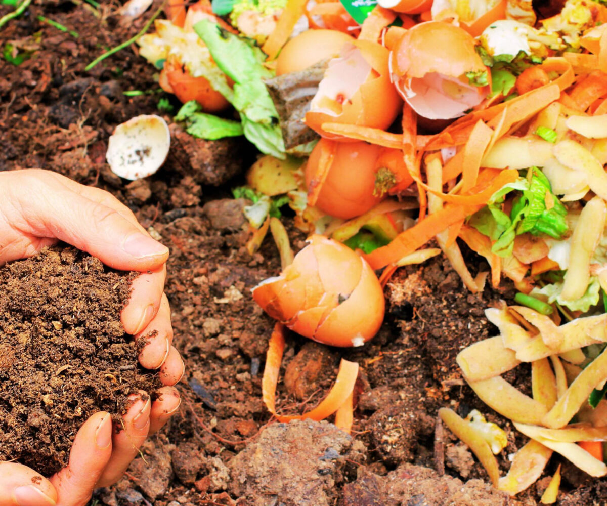 Kompostavimas. Kompostuojant atviroje vietoje procesas yra lėtesnis.