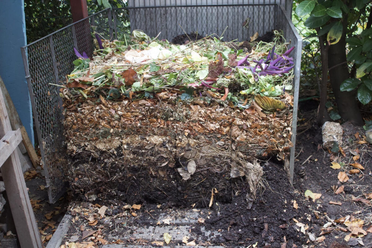 Kompostavimas sode. Teisingo komposto pavizdys.