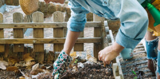 Kompostavimas sode: kaip jis gerina dirvos kokybę Kompostavimas sode.