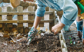 Kompostavimas sode: kaip jis gerina dirvos kokybę Kompostavimas sode.