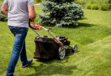 Nupjauta žolė – jūsų sodo auksas: daug kas daro klaidą Nupjauta žolė.