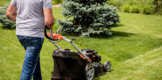 Nupjauta žolė – jūsų sodo auksas: daug kas daro klaidą Nupjauta žolė.