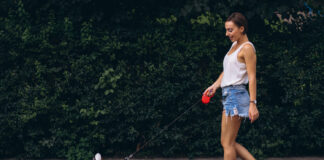 Pavadėlis gali išgelbėti gyvybę: štai kodėl šios taisyklės ignoruoti negalima Pavadėlis šuniui.