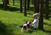 Šunų šeimininkams svarbu: pavasarį miške gali tykoti pavojai Pavojai šunims miške pavasarį.