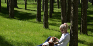 Šunų šeimininkams svarbu: pavasarį miške gali tykoti pavojai Pavojai šunims miške pavasarį.