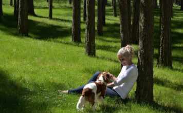 Šunų šeimininkams svarbu: pavasarį miške gali tykoti pavojai Pavojai šunims miške pavasarį.