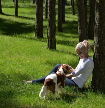 Šunų šeimininkams svarbu: pavasarį miške gali tykoti pavojai Pavojai šunims miške pavasarį.