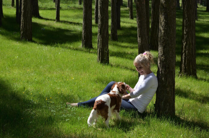 pavojai-sunims-miske-pavasari Pavojai šunims miške pavasarį.