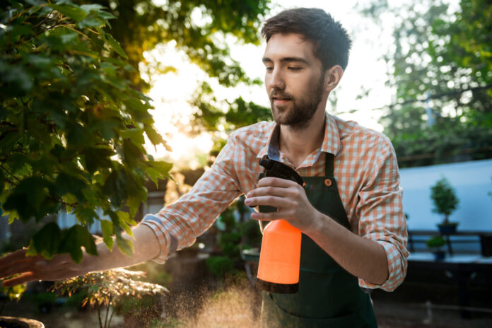 purskalas-nuo-amaru-vyras-purskia-nuo-amaru Purškalas nuo amarų.