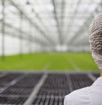 Pavasarį šiltnamį paruoškite teisingai – derlius nustebins Šiltnamio paruošimas pavasarį.