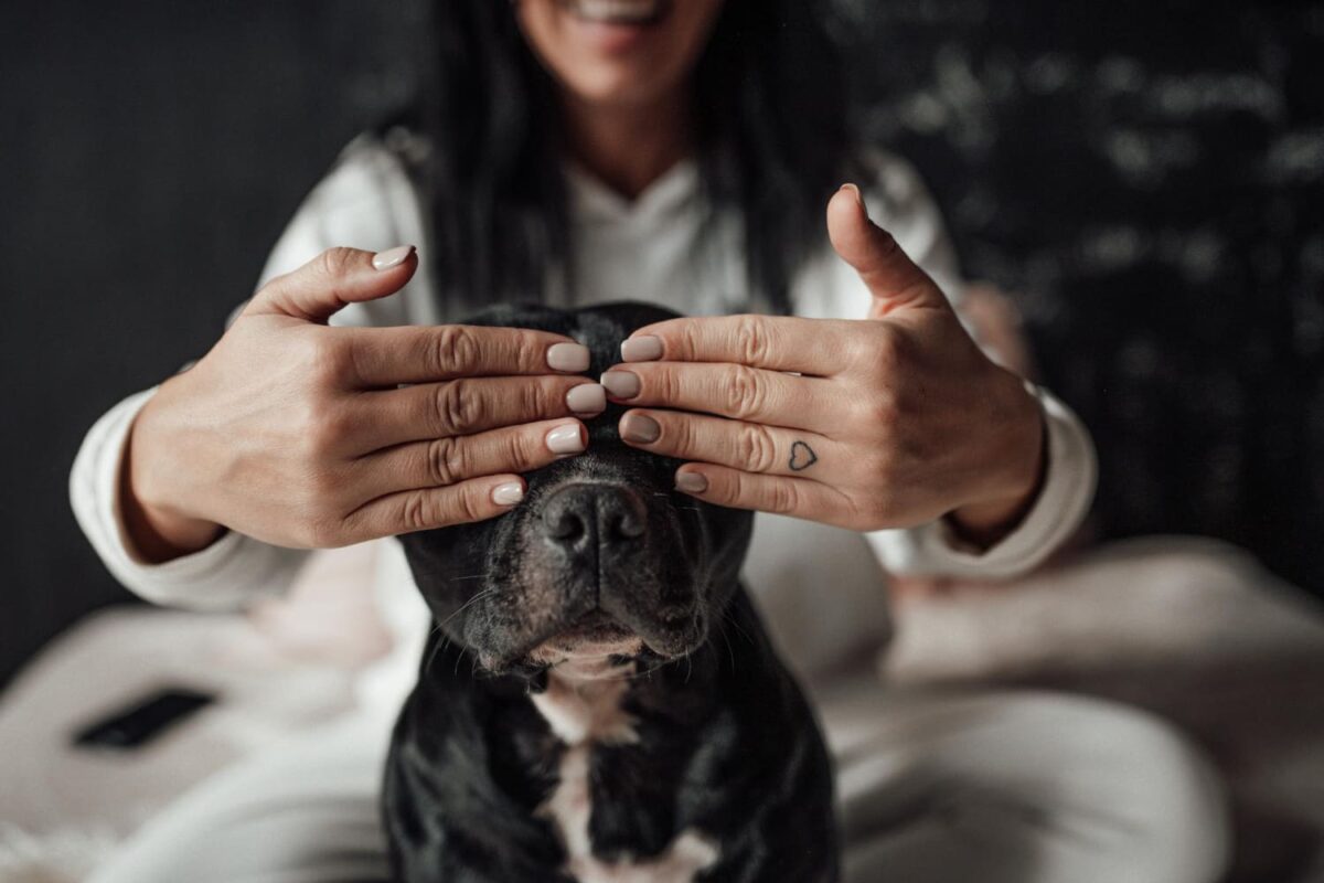 Šuns paslėpti pojūčiai. Moteris dengia šuns akis.