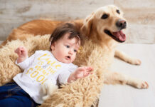 Šuo ir naujagimis namuose: svarbiausios saugumo taisyklės Šuo ir naujagimis namuose.