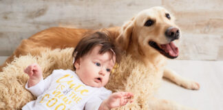 Šuo ir naujagimis namuose: svarbiausios saugumo taisyklės Šuo ir naujagimis namuose.
