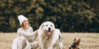 Šuo pavasarį meta daug kailio? Veterinarai paaiškina Šuo meta kailį pavasarį.