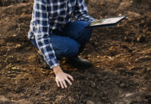 Visi jas giria, bet aš šių dviejų trąšų sodui daugiau niekada nenaudosiu: jos sugadino mano dirvožemį Trąšos sodui. Žemės tyrimai.