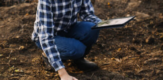 Visi jas giria, bet aš šių dviejų trąšų sodui daugiau niekada nenaudosiu: jos sugadino mano dirvožemį Trąšos sodui. Žemės tyrimai.