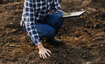 Visi jas giria, bet aš šių dviejų trąšų sodui daugiau niekada nenaudosiu: jos sugadino mano dirvožemį Trąšos sodui. Žemės tyrimai.