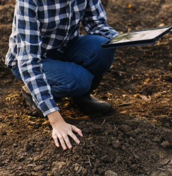 Visi jas giria, bet aš šių dviejų trąšų sodui daugiau niekada nenaudosiu: jos sugadino mano dirvožemį Trąšos sodui. Žemės tyrimai.