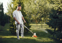 Trimerio valo pasirinkimas – ne viskas taip paprasta, kaip gali pasirodyti Trimerio valo pasirinkimas.