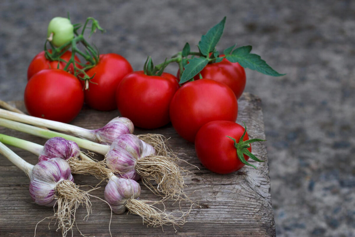 Augalai netinka šalia pomidorų.