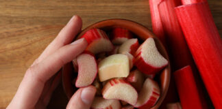 Pasodinate kartą – derlių imate metų metus: šios daržovės keičia daržą Daugiametės daržovės. Rabarbarai.