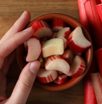 Pasodinate kartą – derlių imate metų metus: šios daržovės keičia daržą Daugiametės daržovės. Rabarbarai.