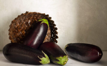 Kaip sėti baklažanus, kad jie tikrai sudygtų ir užaugtų stiprūs Kaip sėti baklažanus.