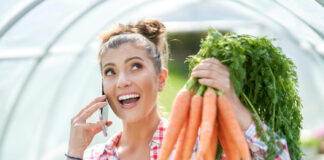 Kaip sėti morkas šiltnamyje, kad derlių gautumėte anksčiau nei visi kaimynai Kaip sėti morkas šiltnamyje.