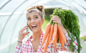 Kaip sėti morkas šiltnamyje, kad derlių gautumėte anksčiau nei visi kaimynai Kaip sėti morkas šiltnamyje.