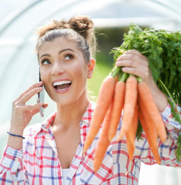 Kaip sėti morkas šiltnamyje, kad derlių gautumėte anksčiau nei visi kaimynai Kaip sėti morkas šiltnamyje.