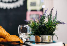 Ši gėlė ne tik graži – bet ir apsaugo nuo uodų Levanda nuo uodų.