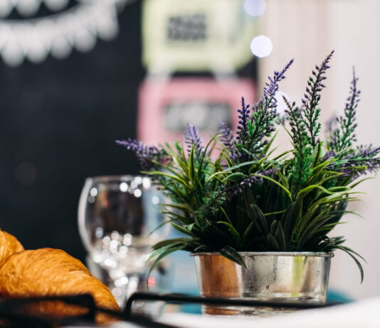 Ši gėlė ne tik graži – bet ir apsaugo nuo uodų Levanda nuo uodų.