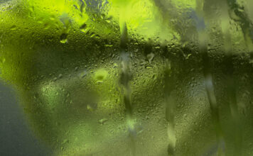 Pelėsis šiltnamyje dingsta greitai: išbandykite šį natūralų purškalą Natūralus purškalas nuo pelėsio šiltnamyje.