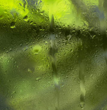 Pelėsis šiltnamyje dingsta greitai: išbandykite šį natūralų purškalą Natūralus purškalas nuo pelėsio šiltnamyje.