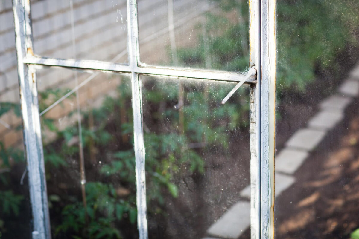 Natūralus purškalas nuo pelėsio šiltnamyje. Šiltnamis.