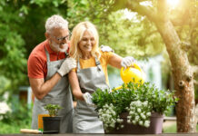 Pavojingi patarimai sodininkams: kodėl jie gali kainuoti daugiau nei manote Pavojingi patarimai sodininkams.