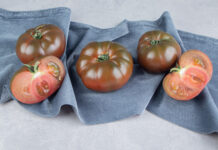 Senieji lietuviški pomidorai grįžta: skonis, kurio nepamiršite Senosios Lietuviškų pomidorų veislės.