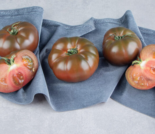 Senieji lietuviški pomidorai grįžta: skonis, kurio nepamiršite Senosios Lietuviškų pomidorų veislės.