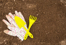 Sveikas dirvožemis: kodėl tikrasis sodo grožis prasideda po žeme Sveikas dirvožemis.