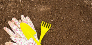 Sveikas dirvožemis: kodėl tikrasis sodo grožis prasideda po žeme Sveikas dirvožemis.