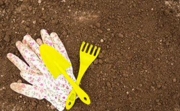 Sveikas dirvožemis: kodėl tikrasis sodo grožis prasideda po žeme Sveikas dirvožemis.